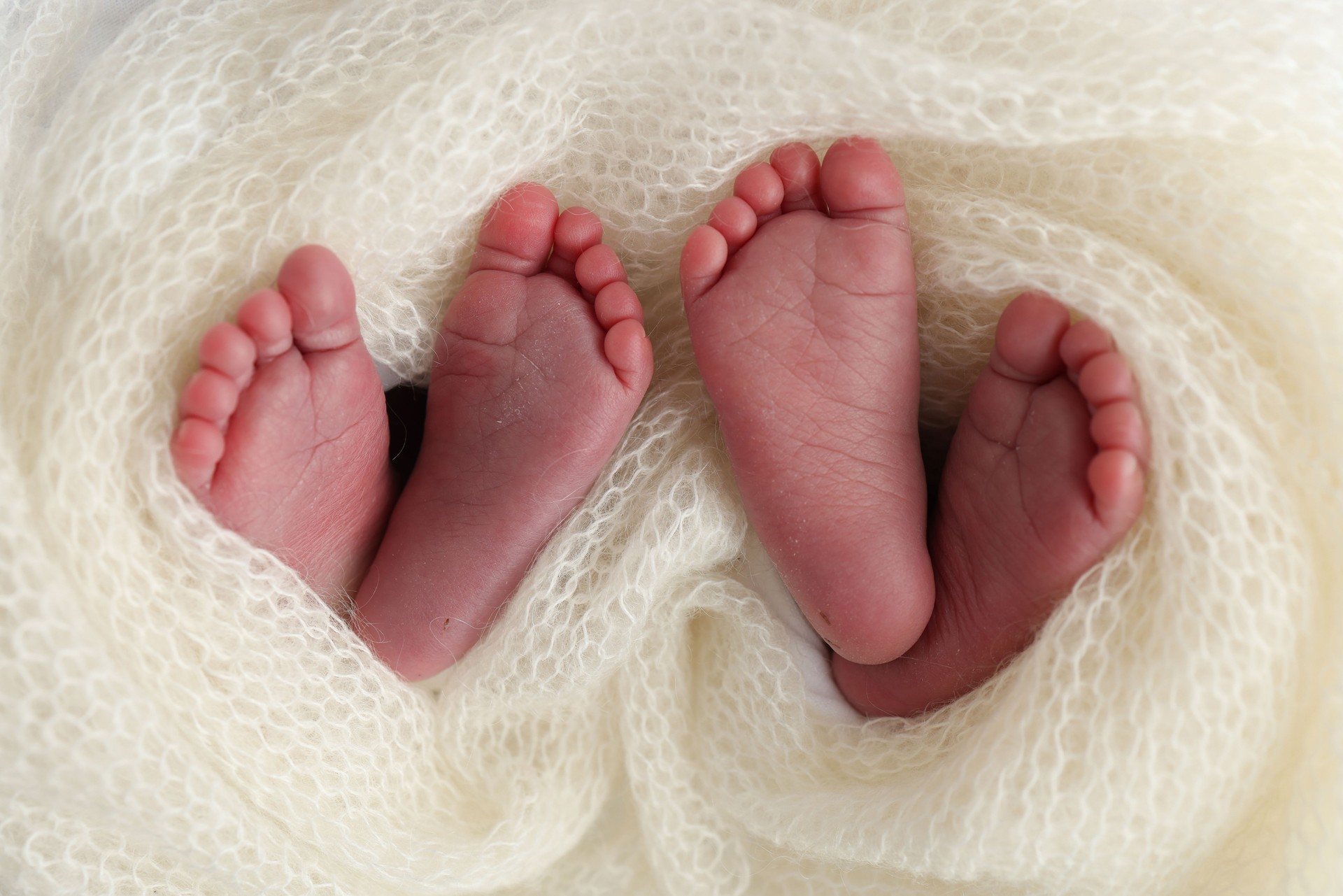 Legs, toes, feet and heels of newborn twins. Wrapped in a knitted white blanket. Studio macro photography of the legs of newborn twins, close-up white backgraund. Two newborns.